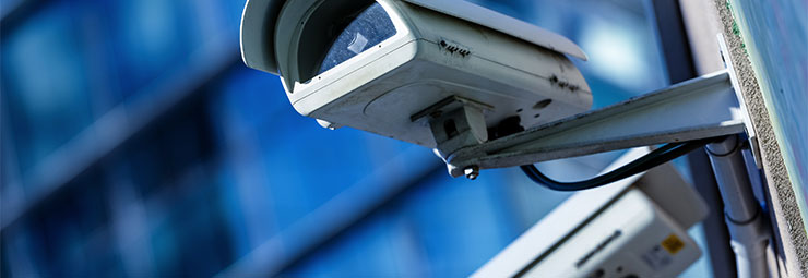 istituti di vigilanza istituti di vigilanza