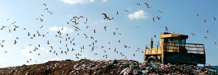 smaltimento rifiuti smaltimento rifiuti