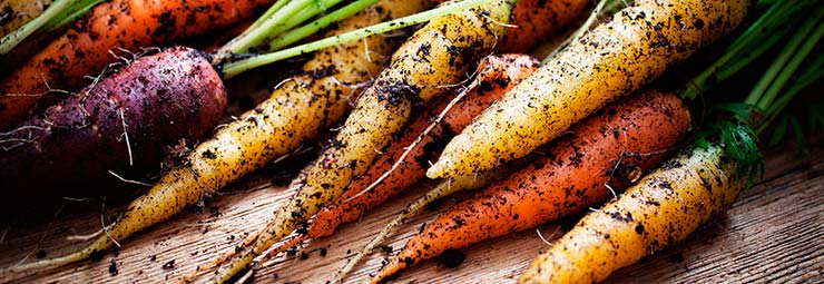 frutta e verdura biologica frutta e verdura biologica