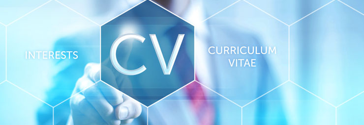 curriculum vitae europeo curriculum vitae europeo