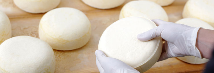 ingredienti preparazione formaggio ingredienti preparazione formaggio