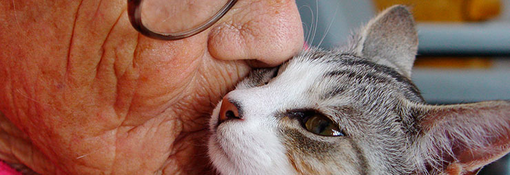 pet therapy anziani pet therapy anziani