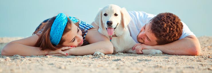 alberghi per vacanze con animali alberghi per vacanze con animali