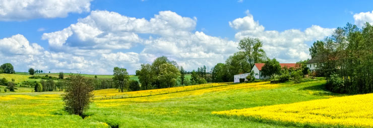 vacanze nel verde vacanze nel verde