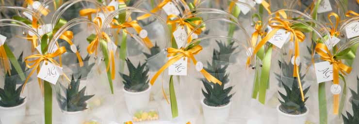bomboniere per il matrimonio bomboniere per il matrimonio