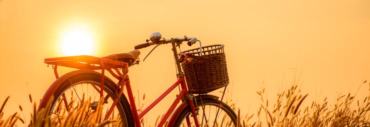 bicicletta elettrica bicicletta elettrica