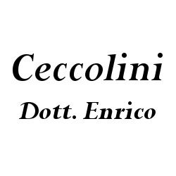 Foto dell'attività
