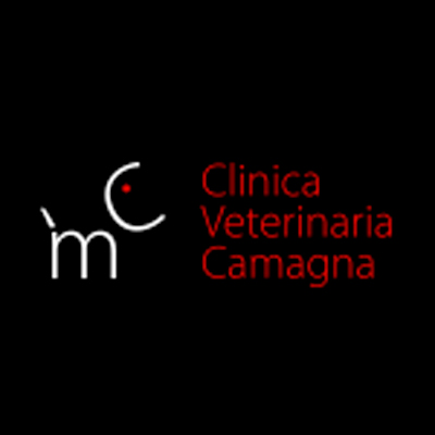 Logo dell'attività