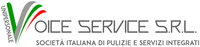 Voice Service