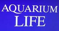 Aquarium Life