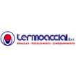 Termoacciai