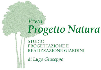 Vivai piante e fiori progettazione giardini a verona viale del ... Progettazione giardini verona