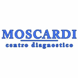 Foto dell'attività