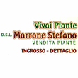 Vivaio Marrone Stefano